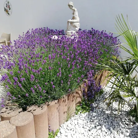 Kokodor Frühstückspension