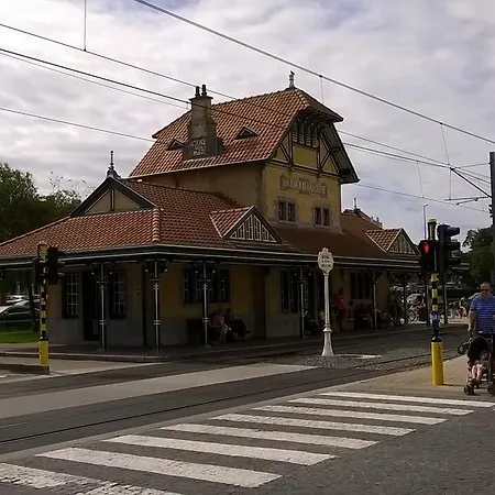 Kokodor * De Haan